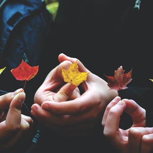 Конспект занятия Осень: Познавательное путешествие по сезону в старшей группе