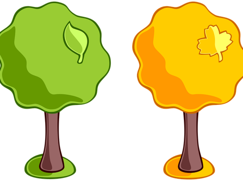 Конспект занятия по окружающему миру  Времена года во второй младшей группе
