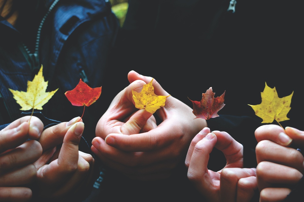 Конспект занятия Осень: Познавательное путешествие по сезону в старшей группе